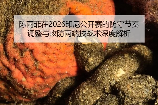 陈雨菲在2026印尼公开赛的防守节奏调整与攻防两端技战术深度解析